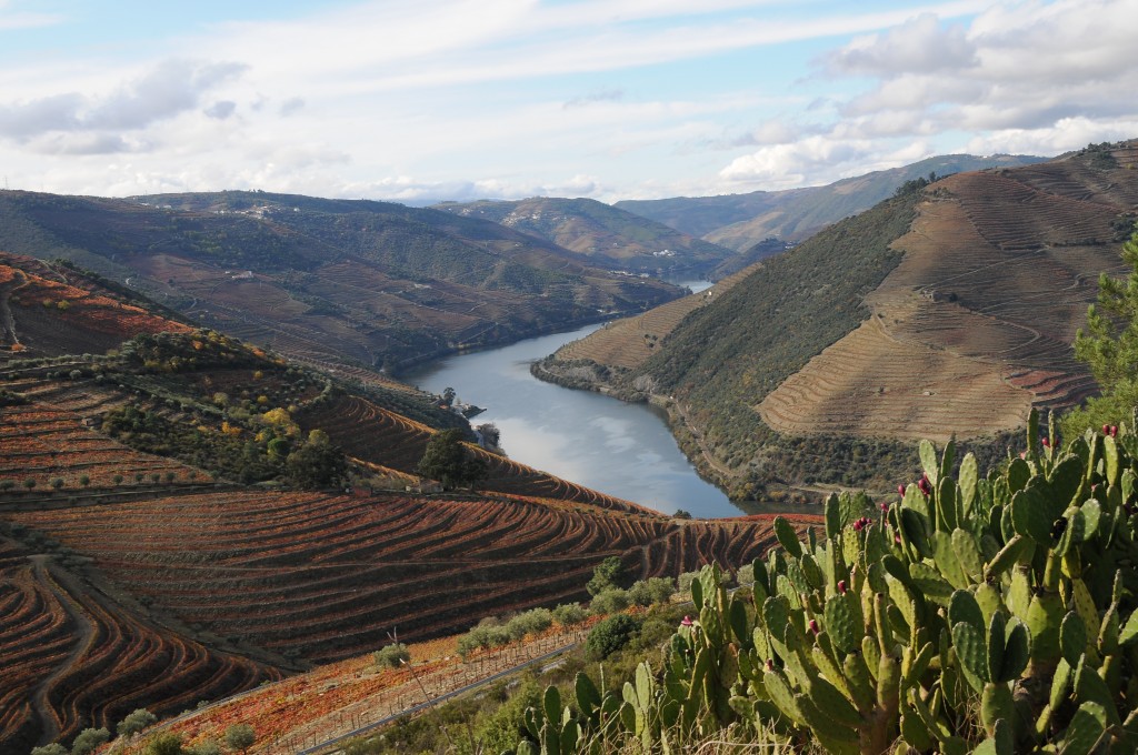 Nuevo barco para cruceros fluviales con CroisiEurope: MS Miguel Torga y su itinerario de crucero fluvial por el Duero