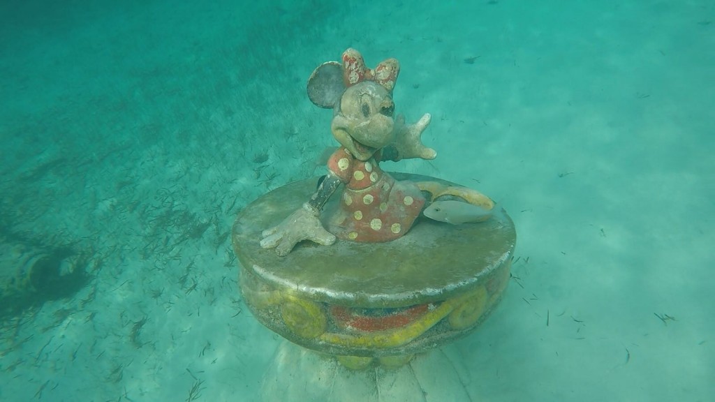 Este es uno de los tesoros que puedes descubrir haciendo snorkel en Castaway Cay. Foto Miramar Cruises.