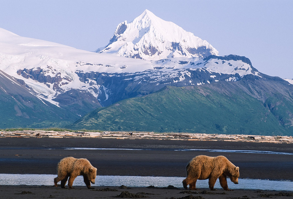 Viaje a las Montañas Rocosas de Canadá y crucero por Alaska con Holland America Line