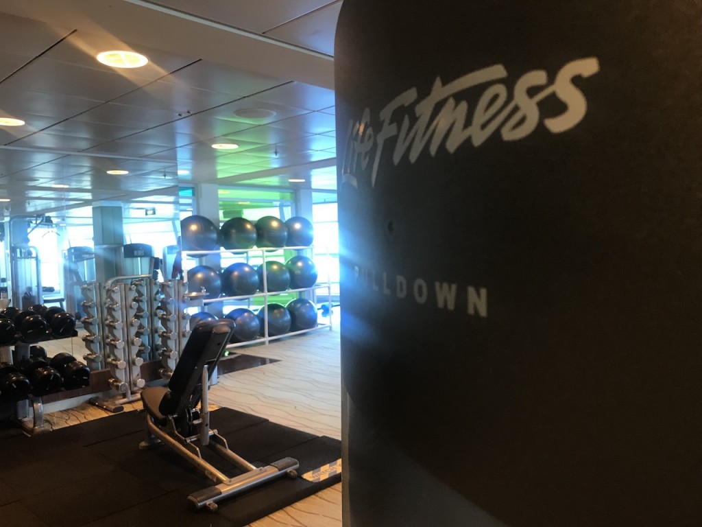 Los fans del estilo de vida fitness tienen su lugar a bordo del Celebrity Silhouette que dispone de un gimnasio equipado con máquinas de última tecnología y con clases de pago para aquellos que requieran la ayuda de un monitor especializado.