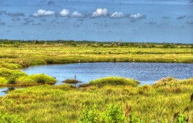 cruceros-desde-cabo-canaveral